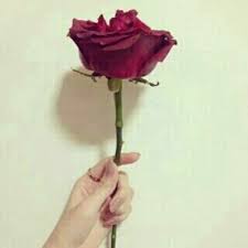 Maybe you would like to learn more about one of these? ÙŠØ¯ Ù…Ø§Ø³ÙƒØ© ÙˆØ±Ø¯Ø© OÂµuË†o Uso UË†o O ÙÙŠ Ø§Ù„ÙÙŠØ¯ÙŠÙˆ Ø§Ù„ØªØ§Ù„ÙŠ ÙˆØ³ÙˆÙ ØªØ¸Ù‡Ø± Ù„Ùƒ Ø®Ø·ÙˆØ© Ø¨Ø®Ø·ÙˆØ© ÙƒÙŠÙÙŠØ© Ø±Ø³Ù… ÙˆØ±Ø¯Ø© Areebahwheatley59