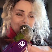 What can I do to help my conure during molting?