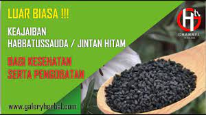 Habbatus sauda (good seed) or habbatul baraka (seeds that bring fortune) it was black seed or arabian black cumin nigella. Luar Biasa Keajaiban Habbatussauda Atau Jintan Hitam Bagi Kesehatan Dan Pengobatan Youtube