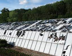 Schwere unwetter mit starkregen und hagel sind am mittwochabend über süddeutschland gezogen. Ein Jahr Nach Dem Teuersten Hagel Schaden Deutschlands Proplanta De