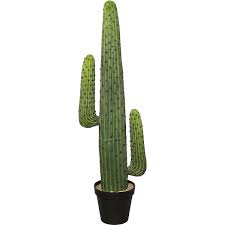 Pot of gold cookie cutter & stamp | st. Mexico Cactus In A Plastic Pot Kaiser Kraft International