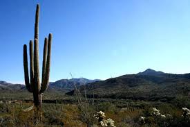 Enter your dates and choose from 968 hotels and other places to stay. El Mas Grande Santuario De Cactus Del Mundo Esta En La Paz Mexico