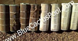 Here Are Some Pictures Of Some Pool Filters Before And After Cleaning That Show You Why You Need To Have Cleaning Pool Filters Pool Filters Pool Cleaning Tips