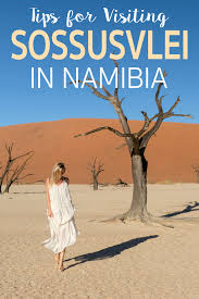 Tripadvisor has 7,123 reviews of sossusvlei hotels, attractions, and restaurants making it your best sossusvlei tourism: Tips For Visiting Sossusvlei In Namibia The Blonde Abroad