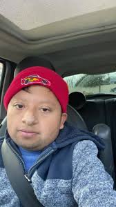 La Vida Secreta de los Koalas: Un Encanto Dormilón