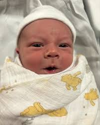 Alexander Volpe's Instagram, Twitter & Facebook