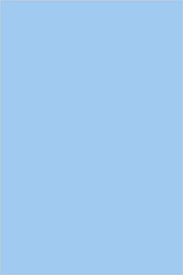 Journal Baby Blue Eyes Color Simple Plain Baby Blue Eyes Notebook Diary Blank Book Amazon Com Br