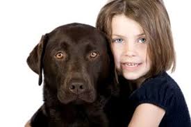 Educazione del Labrador