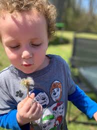 Wyatt Garrett Obituary (2022)