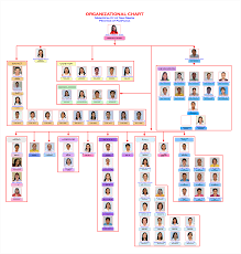 73 Unusual Lgu Organizational Chart