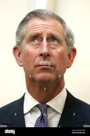 Prince looks hi-res stock photography and images