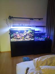 Pembuatan Aquarium Air Laut Untuk Dekorasi Rumah Kanrot Hotel Restoran Dll Silakan Konsultasikan Kebutuhan Anda Dengan Kami Via Telepo Aquarium Lautan Air