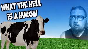 WHAT THE HELL IS A HUCOW? - YouTube