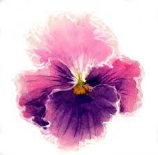 Watercolors On Rice Paper Classes Santa Clarita Pansy Tattoo Watercolor Flowers Flower Painting