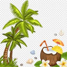 Coconut water has recently become a popular drink for athletes. Coconut Water Beach Arecaceae Coconut Trees Leaf Tree Branch Palm Tree Png Pngwing