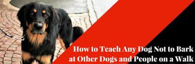How To Teach Any Dog Not To Bark At Other Dogs And People On A Walk Dog Training Advice Tips Dog Training Barking Dog Training Obedience Training Your Dog