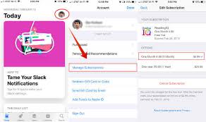 Enter your apple id password, if asked. Learn How To Cancel App Store Subscription On Ios To Avoid Autorenewal