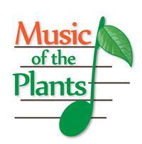 This music played in the background during the presentation. Home Music Of The Plants