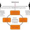 Premature or early menopause occurs when a woman enters menopause earlier than the age of 40. 1
