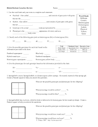 For each genotype below, indicate whether it is a heterozygous (he) or homozygous (ho). Simpsons Genetics Worksheet Printable Worksheets And Activities For Teachers Parents Tutors And Homeschool Families