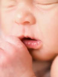 Loving boldly, living visibly. Happy Lesbian Visibility Week from me and my  favorite human. 🩷🌈