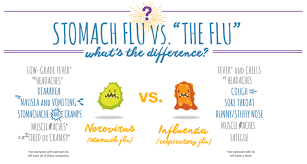 We did not find results for: The Scoop On Poop Stomach Flu Edition Birmingham Pediatrics Wellness Center Bloomfield Hills Mi