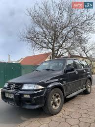Image result for Autumn Brown 1998 SsangYong