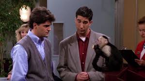 Mi történt a színésszel a jóbarátok óta? David Schwimmer Nagyon Unta A Jobaratok Majmat Joey Viszont Imadta 24 Hu