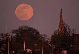 The full moon was visible from our balcony for about half an hour tonight and last night between some buildings and a tree. Photos Of The Supermoon April 2021 Human World Earthsky