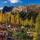 North Cascades Fall Spectacular  — Adventure With event image