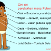 Kunci jawaban tematik kelas 5 tema 1 halaman 32 33 34 35 36 38. 3