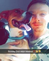 Scooby-Doo said hi 😁🐕 so if you have a your own dog named Scooby-Doo post  him in the comments ❤️💯🐕