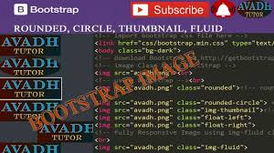 Responsive Image Using Bootstrap Circle Image Using Bootstrap Bootst Tutor Science And Technology Text