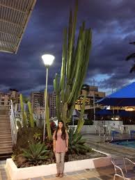 **the most important factors for growth are water and temperature. Huge Cactus Human For Scale Cacti