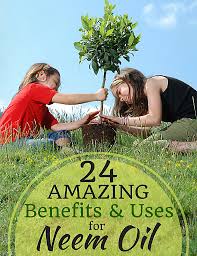 (there is a button around here somewhere. 24 Amazing Benefits And Uses Of Neem Oil For Plants