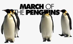 However, the french version of the film, titled la marche de l'empereur, used the voices of human actors to make it appear as if the penguins were speaking. March Of The Penguins Image March Of The Penguins Png 1000x562 Png Download Pngkit