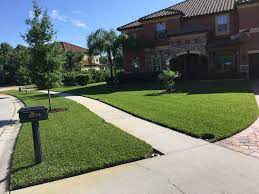 We did not find results for: Basics Of Spring Lawn And Shrub Care Nvirotect Pest Control