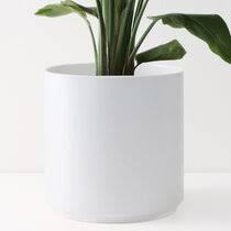 Maybe you would like to learn more about one of these? Tall Ceramic Pots Wayfair