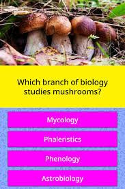 From microscopic organisms to large mammoths, the dwelling world is residence to a number of animals and crops. Which Branch Of Biology Studies Trivia Questions Quizzclub