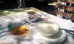 We did not find results for: Cosa Mangiare In Albania 10 Ricette Della Cucina Albanese Da Provare Patatofriendly