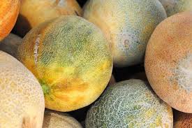 Amazon com how to pick ripe perfect produce diy. Melons 101 A Farmers Market Guide Cuesa