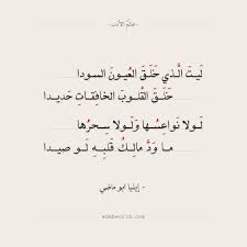 شعر العباس بن الأحنف لم أسل عنك ولم أخنك ولم يكن عالم الأدب Wisdom Quotes Life Weird Words Cool Words