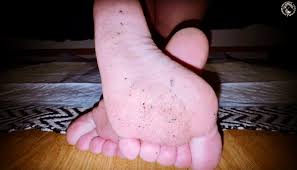 SCATBOOK 💩 (@SCATBOOKSOCIAL)  X