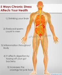 Chronic Stress Affects Your Health Chronic Stress Stress Mindfulness