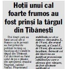 Program de lucru cu publicul alocatii, indemnizatii Un Reporter De La Ziarul De Iasi S A IndrÄgostit De Calul Dintr O Stire Topiasi Ro