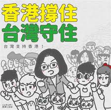 Image result for 蔡英文 香港反送中