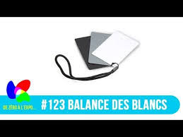 123 Charte Gris Neutre La Balance Des Blancs