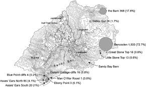 Image result for Eragrostis welwitschii