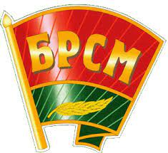 БРСМ © Островская средняя школа