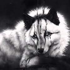Some examples of anime with werewolf characters include spice and wolf , dance in the vampire bund , and wolf's rain. 36 Anime Wolfe Ideen Anime Wolf Anime Wolf
